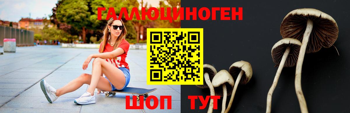 Псилоцибиновые грибы мицелий Семёнов