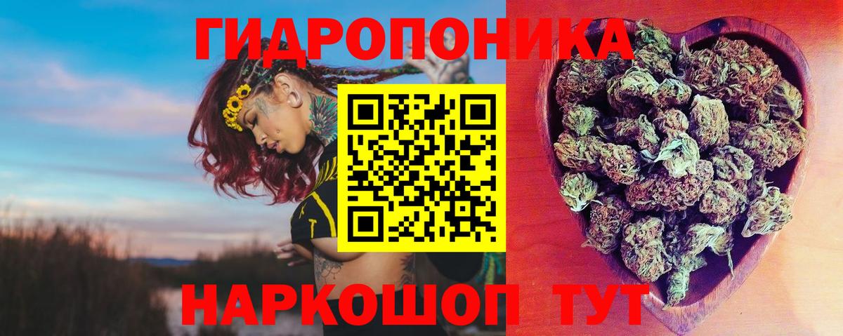 Бошки марихуана гибрид Семёнов